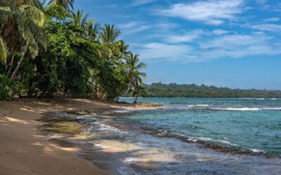 Elite Travel Reviews – Your Partner For Exotic Costa Rican Vacations